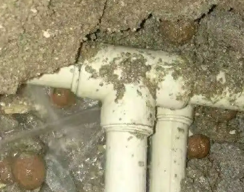 张店测漏水多少钱