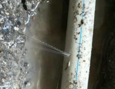 张店测漏水哪家好