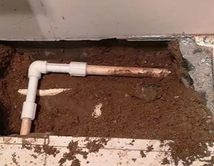 张店测漏水哪家好