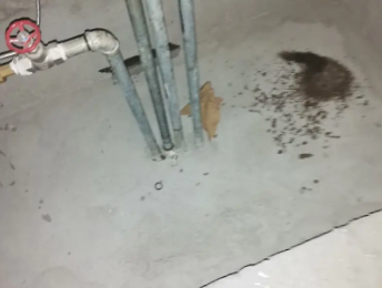 张店卫生间测漏水价格明细