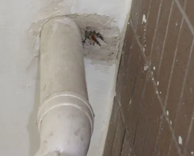 张店漏水检测哪家好